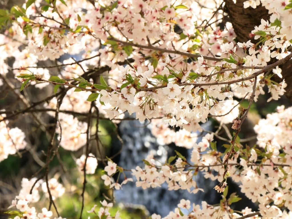 Yamatoya Hotel Yamanouchi  Bagian luar foto